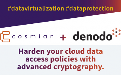 Cosmian & Denodo join forces to bring advanced cryptography to data virtualization