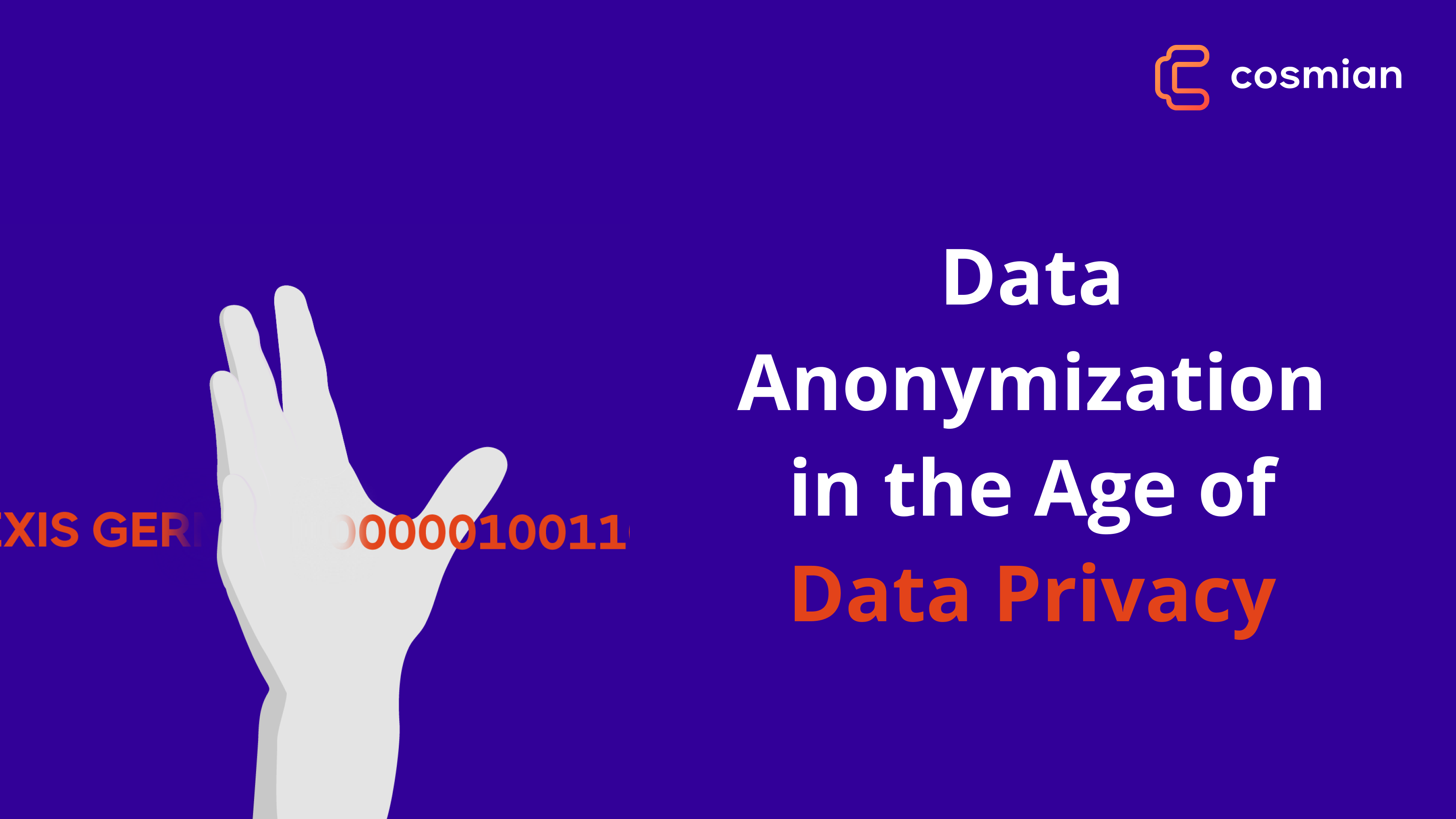 Data Anonymization: The Key to Balancing Data Utility and Privacy | Cosmian