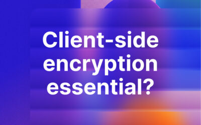 Why is client-side encryption essential for businesses?